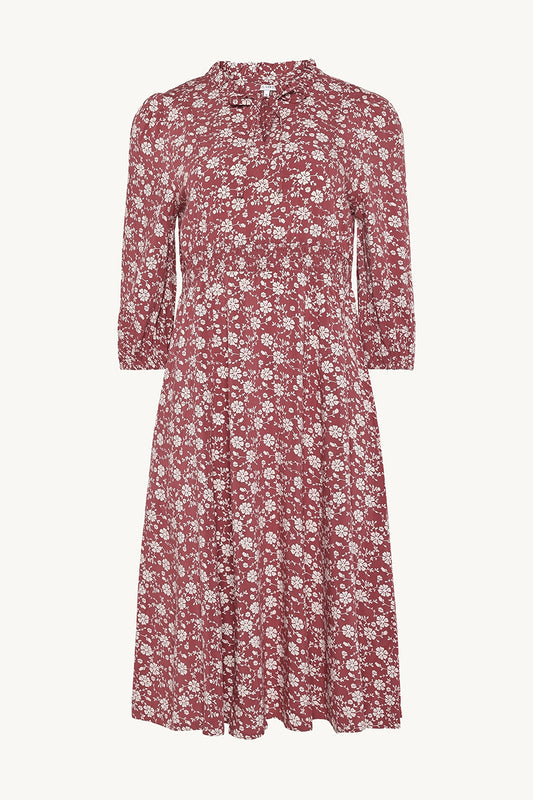 CWDotta - Color 3726