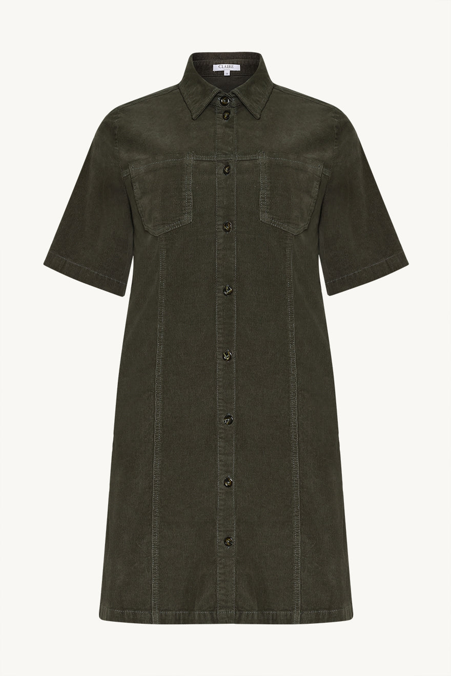 CWDanee - Color 4480