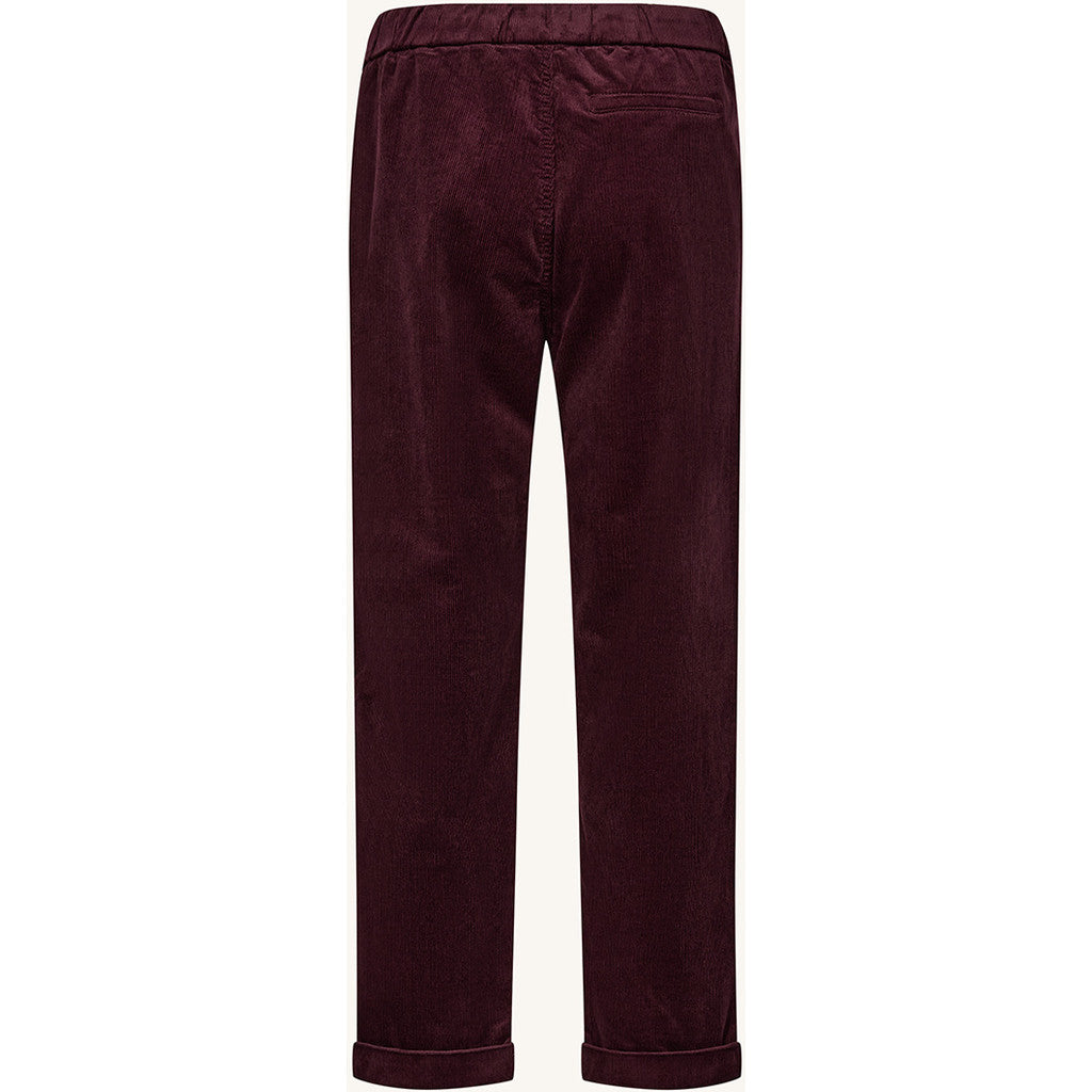 CLAIRE CWThine Trousers 4381 Fig